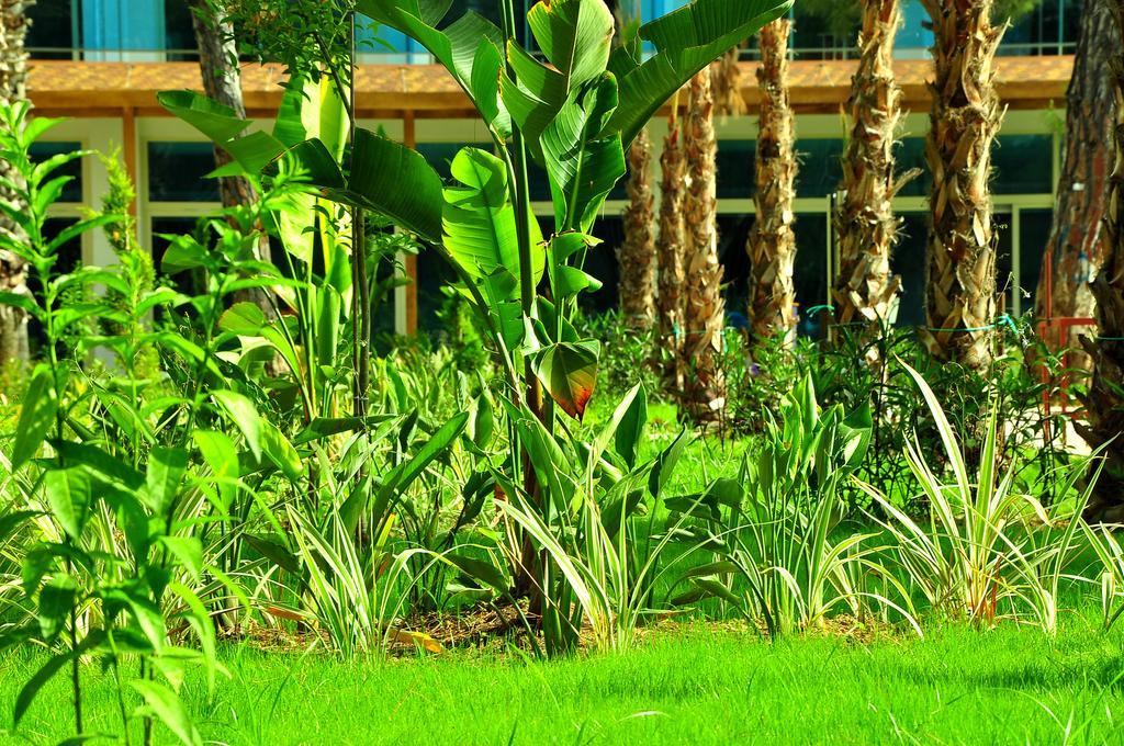 Maya World Hotel All Inclusive Side Zewnętrze zdjęcie